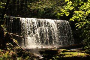 Kaaterskill Wilds Photos