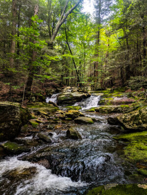 Kaaterskill Wilds Videos