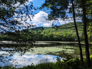 Moreau Lake Photos