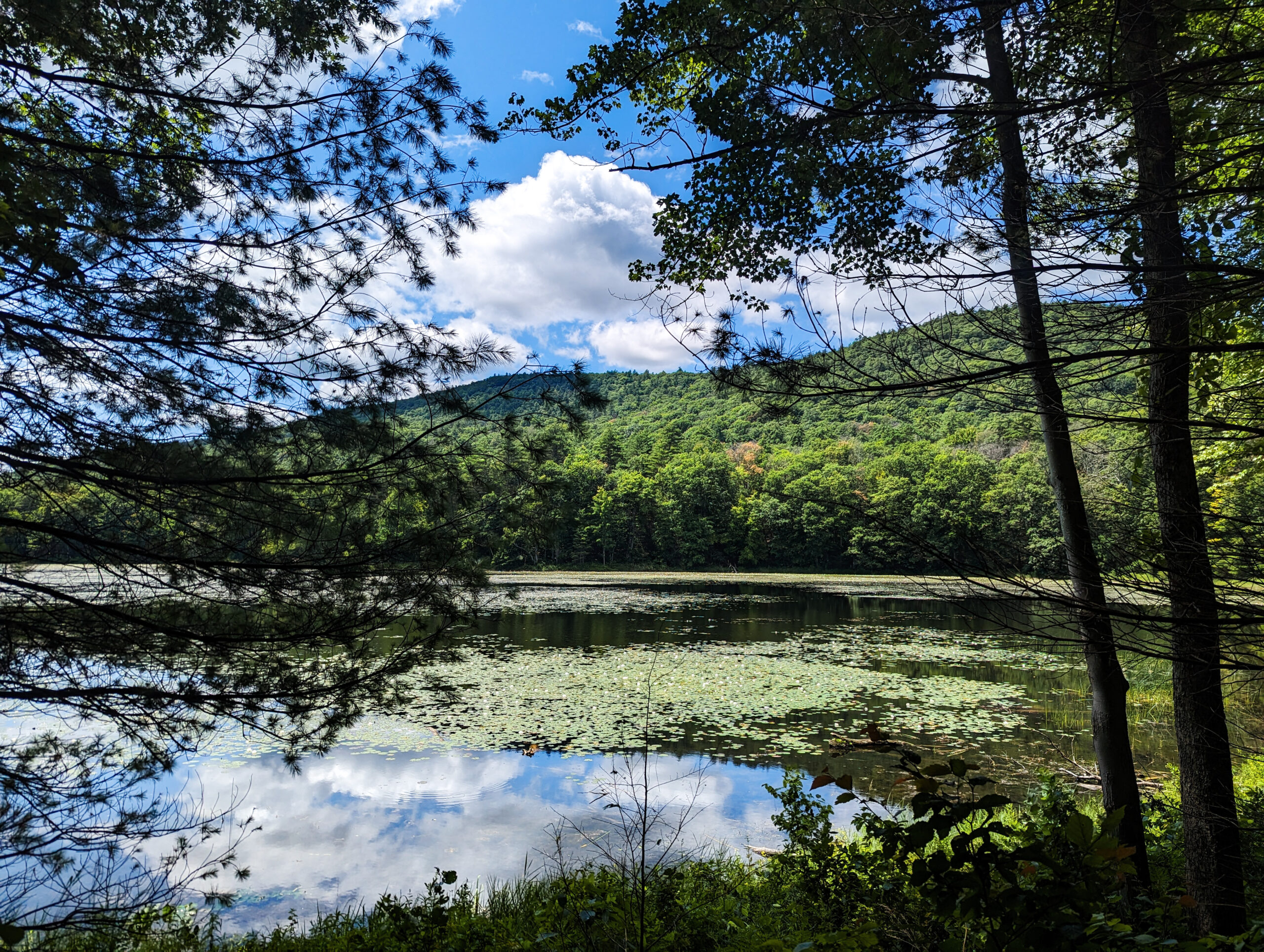 Moreau lake