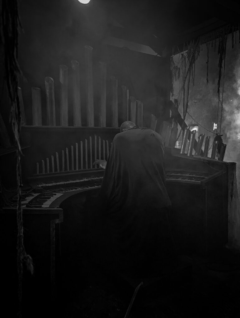 The organ player