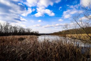 Vischer Ferry Preserve (Photos)