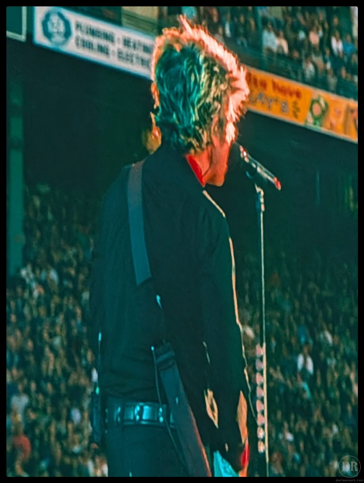 Green Day at Fenway Park