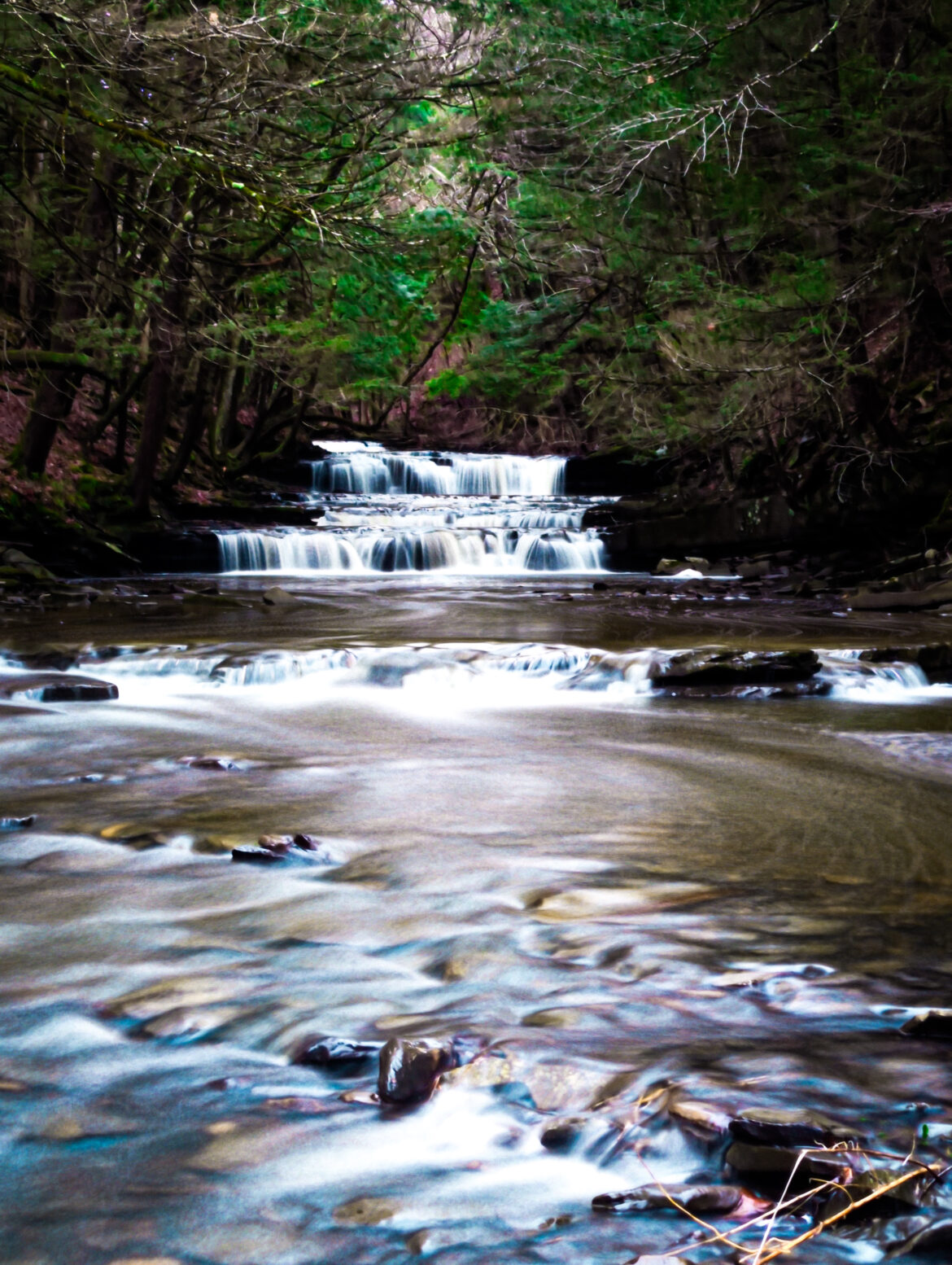 Bozen Kill Falls