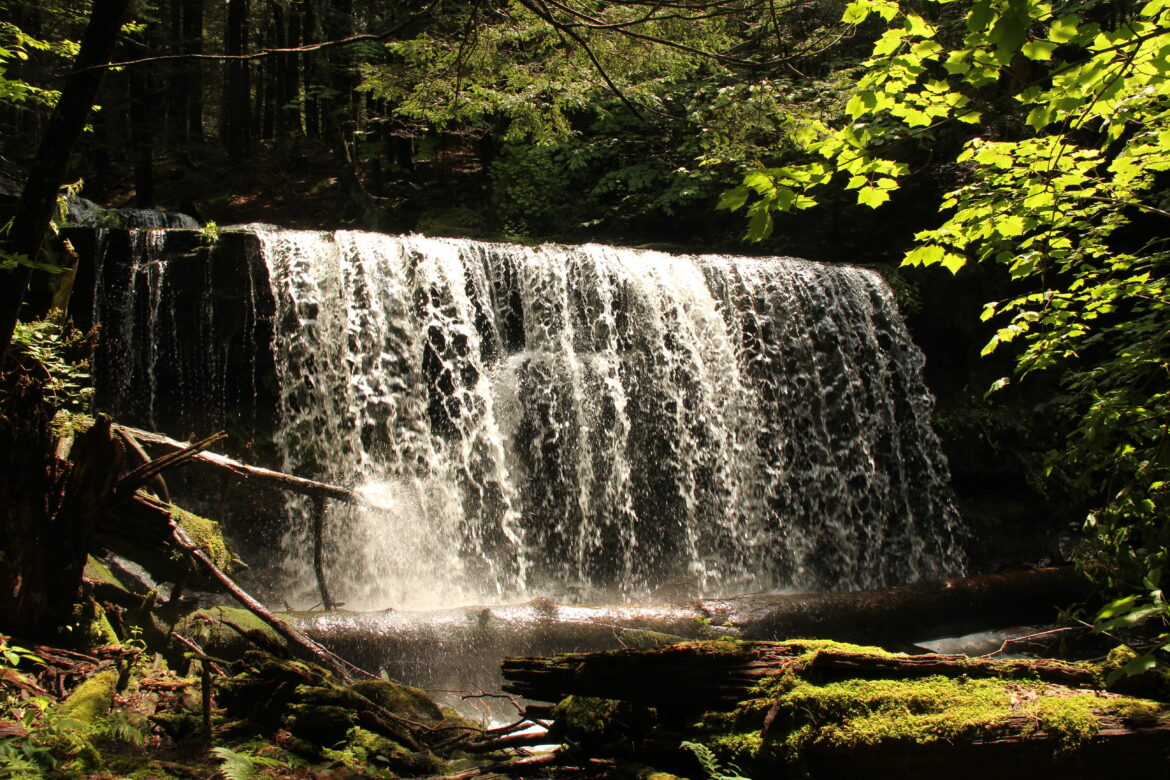 Catskill Wilds Falls