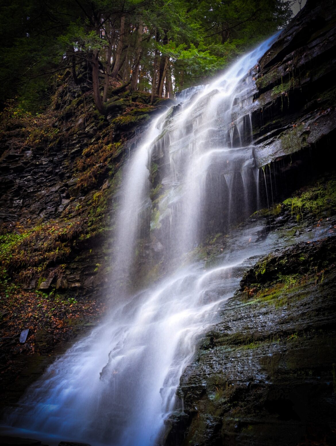 Plotterskill Falls