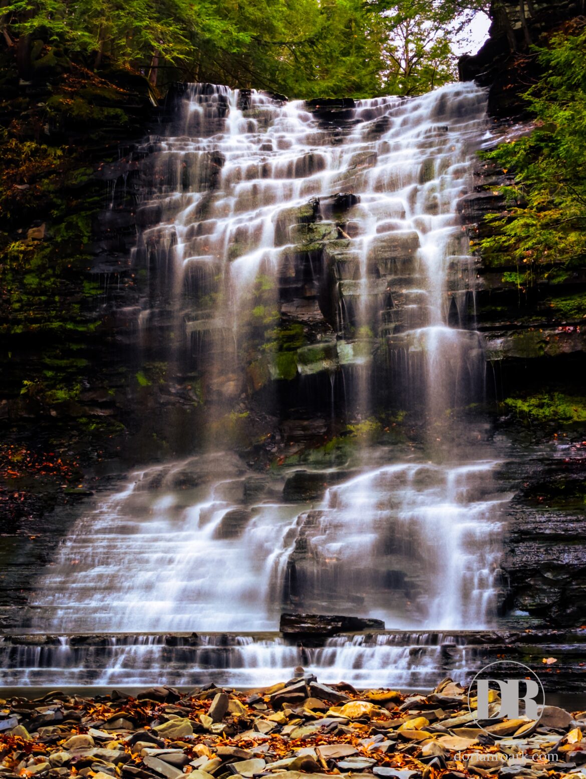 Plotterskill Falls